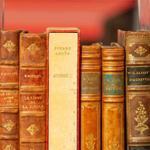 cropped pexels jan van der wolf 11680885 30134003.jpg